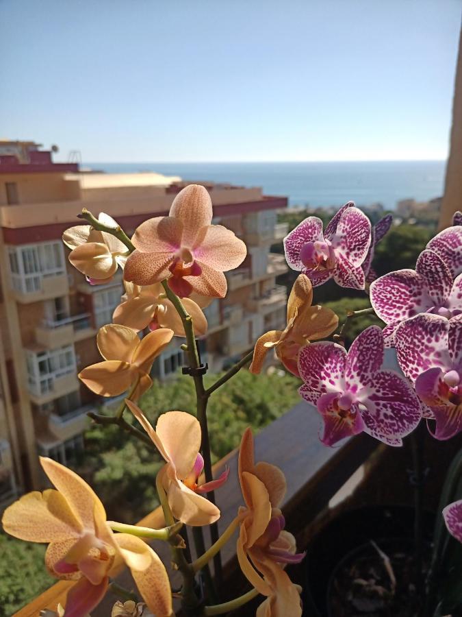 Sweet Home Benalmadena, Estudio Con Vistas Al Mar Y Excelente Conexion Wifi, Para No Fumadores, Con Piscinas, Sea Views, With Swimming Pools, Completely Renovated, Ideal For Older People, Bright With Morning Sun, No Smoking Luaran gambar